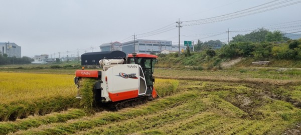 용인특례시가 올해 생산한 공공비축미 820톤을 매입한ⓒ경기타임스