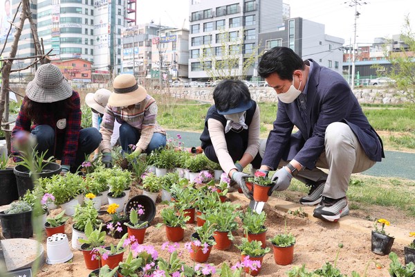 사진)백군기 시장이 시민들과 함께 어울林(림)정원서 꽃을 심고 있다 ⓒ경기타임스