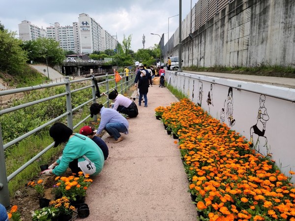 사진)구성동 주민들이 분양받은 꽃밭에 꽃을 심고 있다ⓒ경기타임스