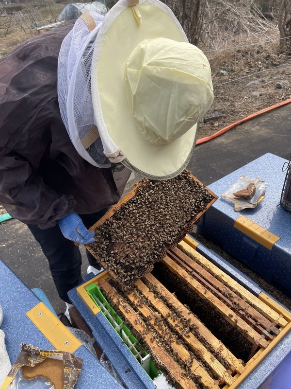 사진) ‘양봉농가 꿀벌 질병 컨설팅’ⓒ경기타임스